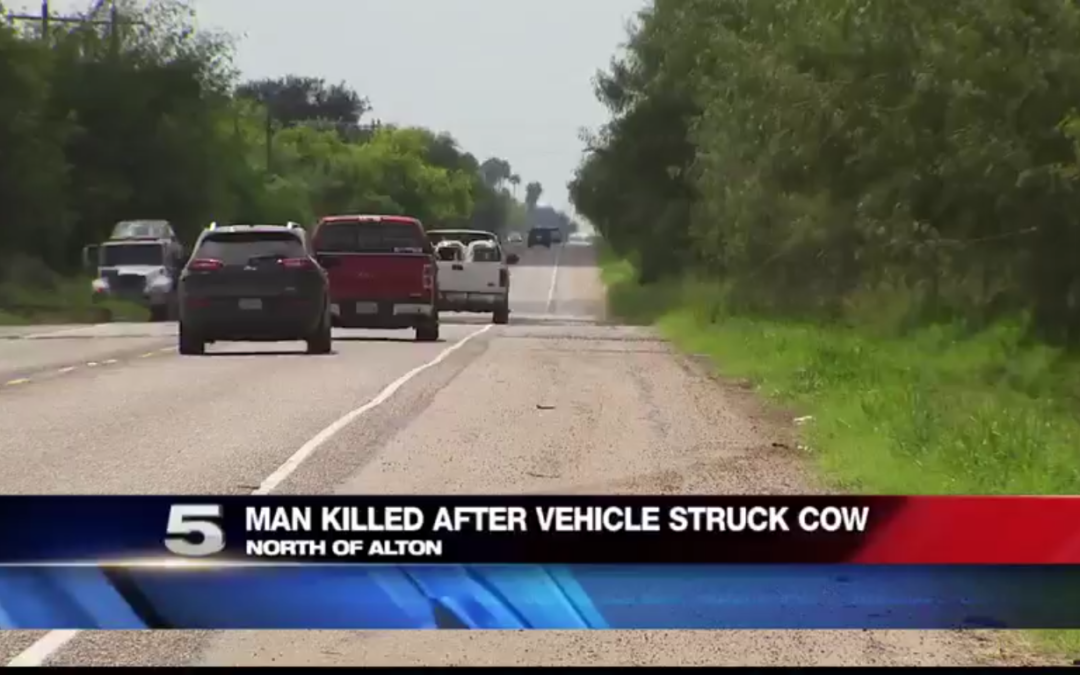 Crash Takes the Life of a Man Over the Weekend